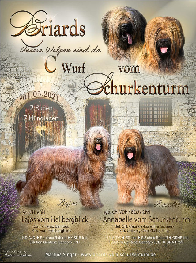 Briard's vom Hellbergblick