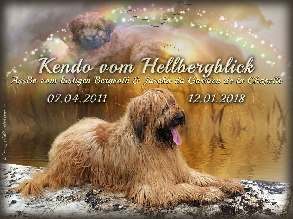 Abschied Kendo vom Hellbergblick