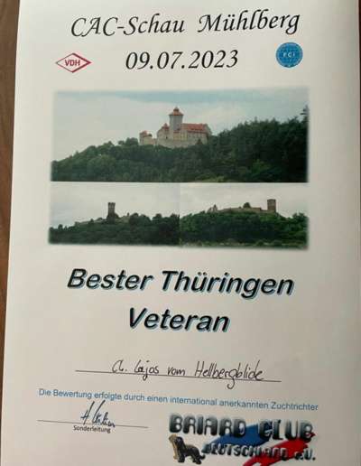 09.07.2023 - Jubiläumsschau in Mühlberg