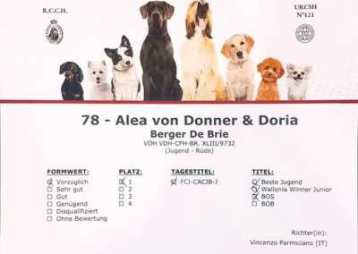 07.10.2023 Wallonia Dog Show Mons